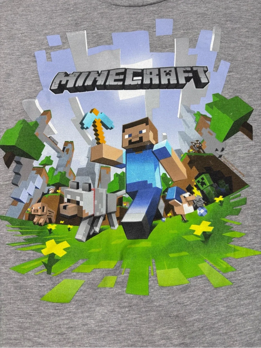 Official Minecraft Gray Graphic Kids T-Shirt EUC Youth Size XL Unisex Casual